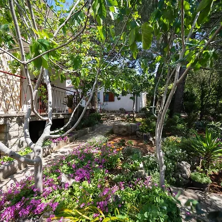 Ema * غورني كارين