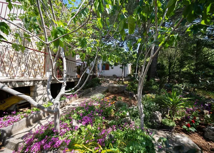 Ema * غورني كارين